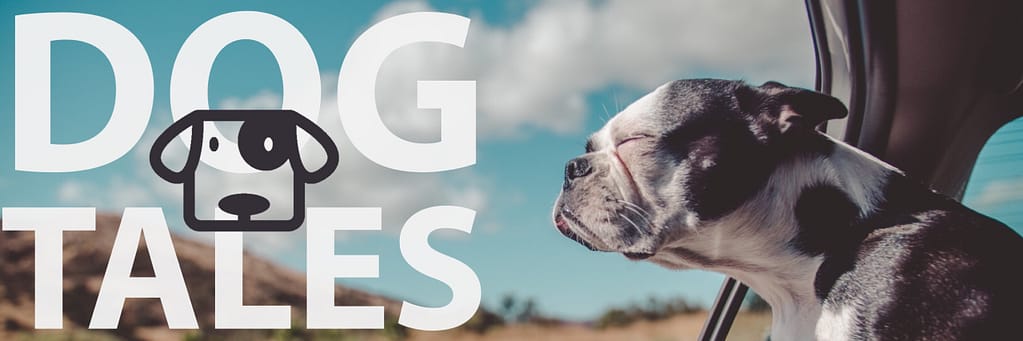 Dog Tales