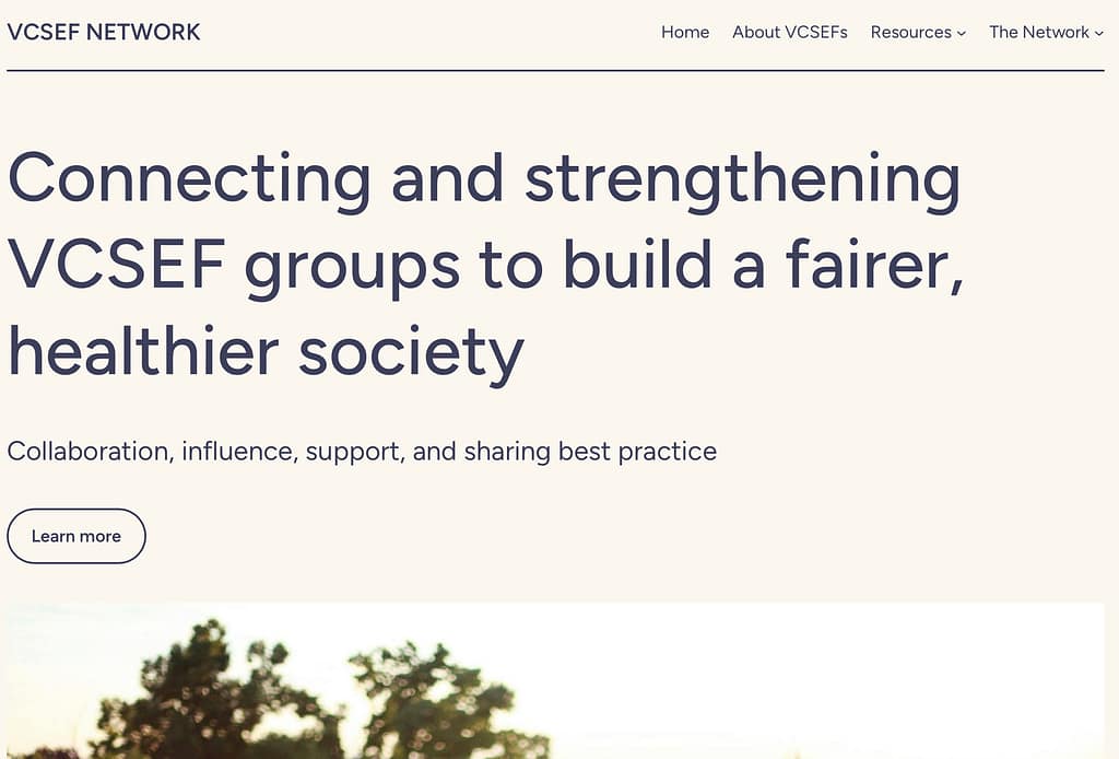 VCSEF Network
